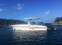 Ain't Mine
Boat Tours - Bequia